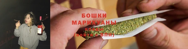 ГАЛЛЮЦИНОГЕННЫЕ ГРИБЫ Кукмор