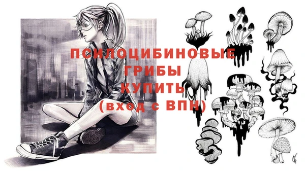 ГАЛЛЮЦИНОГЕННЫЕ ГРИБЫ Кукмор
