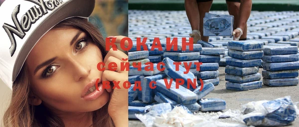 спайс Корсаков
