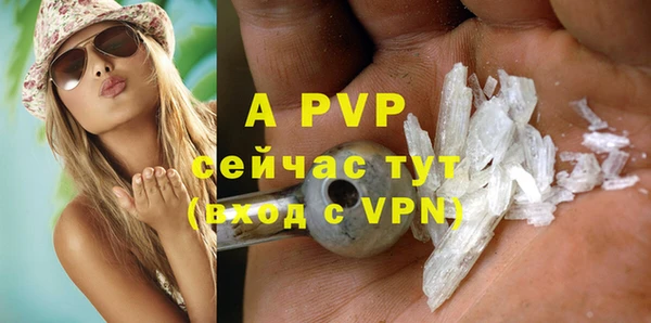 ГАЛЛЮЦИНОГЕННЫЕ ГРИБЫ Кукмор