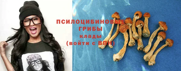 ГАЛЛЮЦИНОГЕННЫЕ ГРИБЫ Кукмор