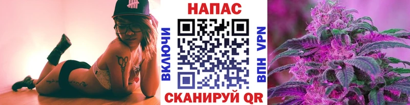 Конопля гибрид  hydra маркетплейс  Строитель 